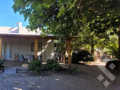 Venta Chacra  con Residencia  Y Galpon en Allen 3,5has-  en Producción