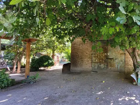 Venta Chacra 3,5Has. en Producción   Casa   Galpón - Allen -Rio Negro