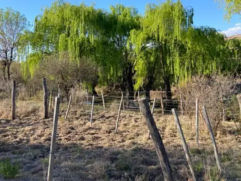 Terreno en Venta de 240,0 m2