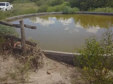 Venta 238 hectareas ganaderas. La Cabral