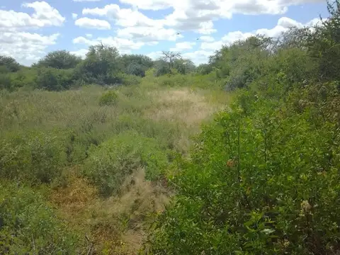 Venta 238 hectareas ganaderas. La Cabral
