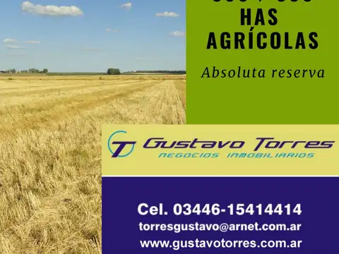 COMPRO CAMPO SUR DE ENTRE RÍOS (ABS. reserva) 300/400