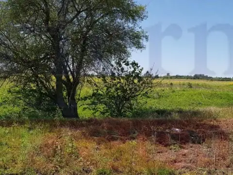 Ruta 3 Km 51 100