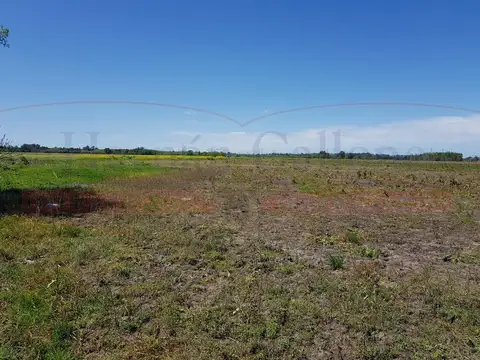 Campo en Venta de 94  ha