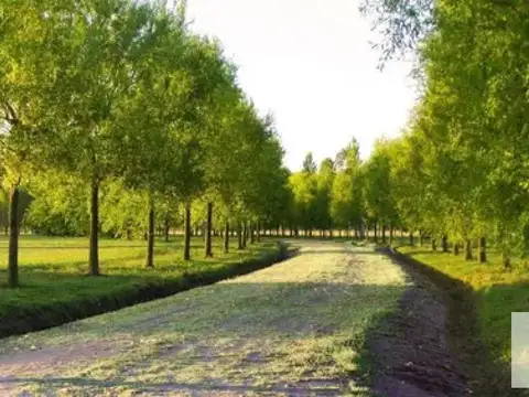 Terreno en venta - 1000mts2 - Posadas de los Lagos
