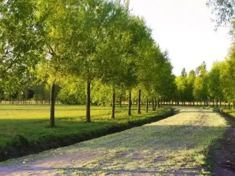 Terreno en venta - 1000mts2 - Posadas de los Lagos