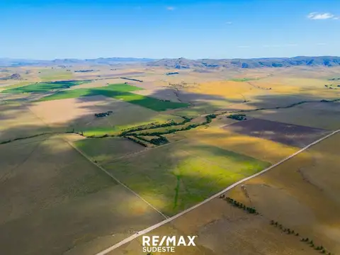 ESPECTACULAR CAMPO CON DOS CASAS y GALPON