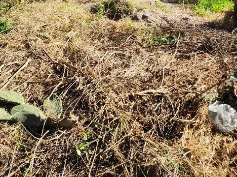 Terreno en Venta 12  mts Fondo