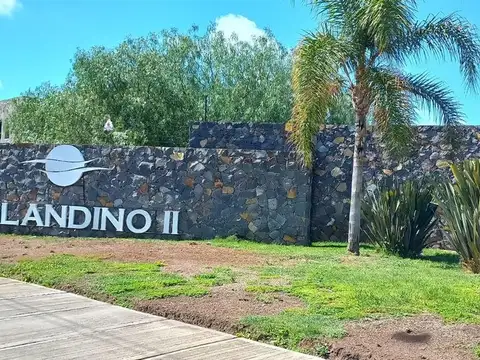 Profesor Mathus 3700