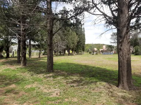 Avenida Cuchi Corral 1800