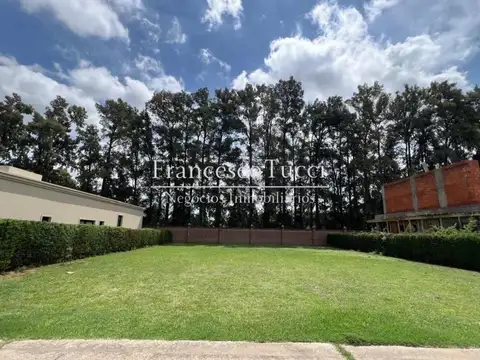 Terreno en Venta de 600,0 m2