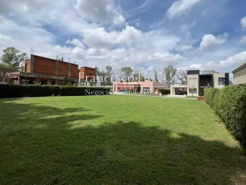 Athuel Lote / N° 1539