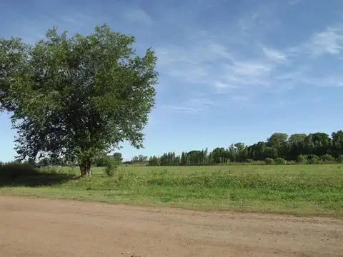 Terreno en  Campos de Madero 2