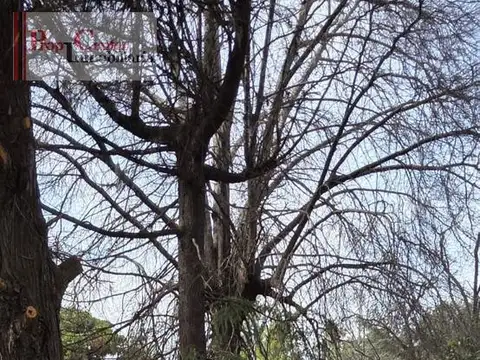 Castelli 868 entre Buenos Aires y  Jujuy