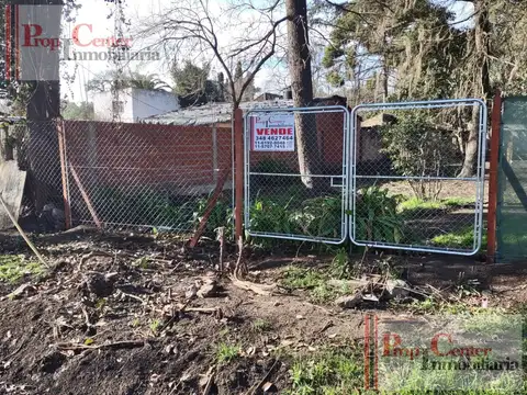 Terreno arbolado mensurado y alambrado