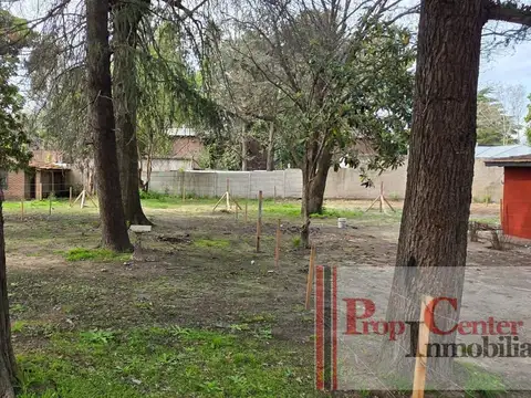 Terreno arbolado mensurado y alambrado
