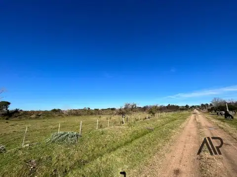 Campo 16 Hectareas En Canelones Entre Ruta 101 Y 102