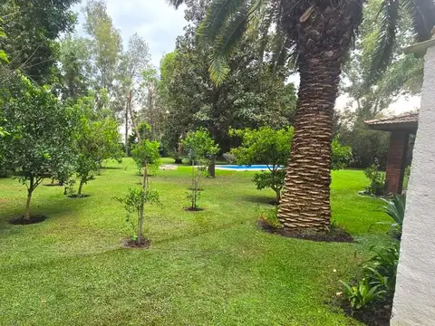 El Pino y Las Glicinas 100