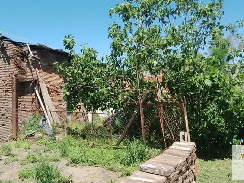 Chivilcoy e/ Colon y Libertad