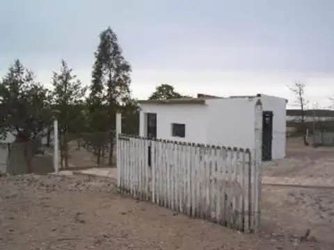 Campo - Biedma