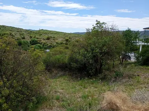 Tierralta 100