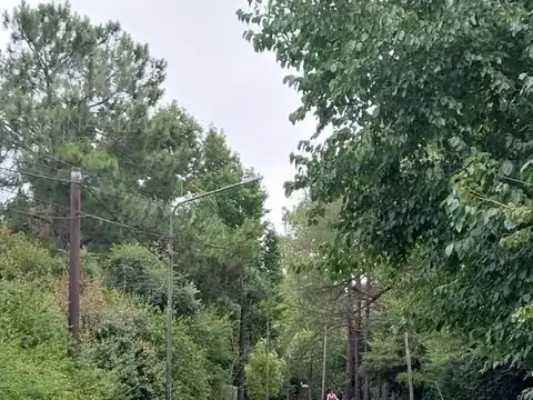 CLUB DE CAMPO EL MORO