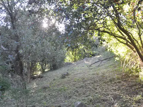 Terreno en Venta en Corral De Barrancas, USD 17.000