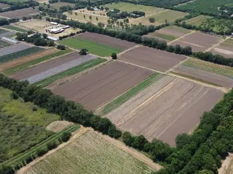 Venta terreno  de 10000 m2 en VIlla Esquiu con acceso  a Circunvalación