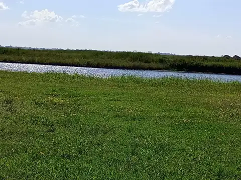 Puertos Barrio Nativas