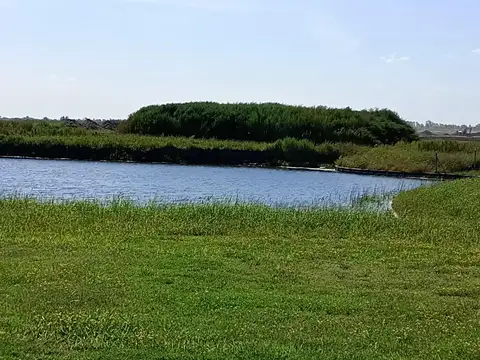 Lote en Venta  Nativas Puertos