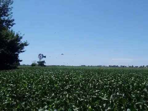 Fiambala 1700 , Piso No definido