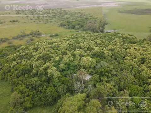 240 has en Chascomús - Ideal para disfrute personal y Rentabilidad Productiva