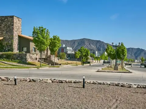 Regalado Olguín 900, Piso 0