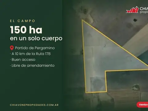 Campo 150 Hectareas Agricolas en Pergamino.
