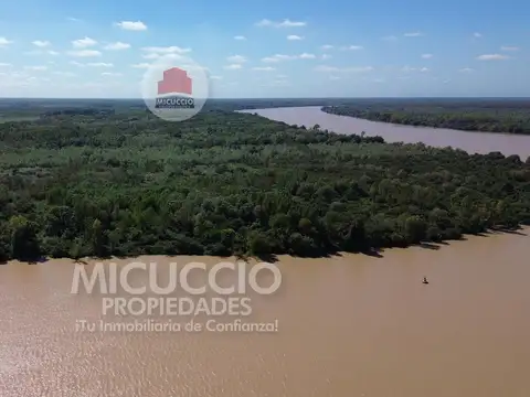 Lotes en venta, Islas Campana, partido de Campana, sobre el Río Paraná. SE ESCUCHAN OFERTAS.