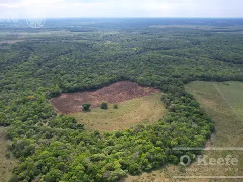 Campo en venta de 1150 has en Formosa. Cerca de Ruta Nac. 11