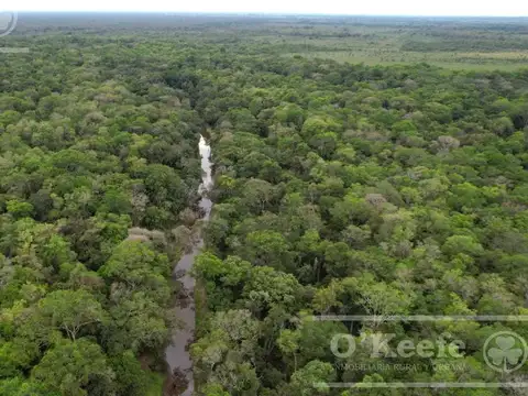 Campo en venta de 1150 has en Formosa. Cerca de Ruta Nac. 11