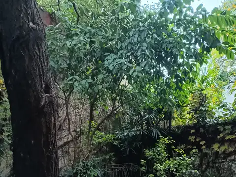 CASA ANTIGUA  DE PASILLO BARRIO MARTIN. JARDIN  AMPLIO. 130 M2.U$S 110.000