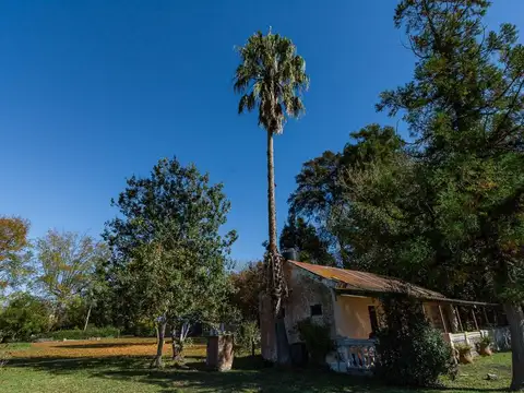 VENTA CASA QUINTA 20 DE JUNIO ZONA OESTE GBA