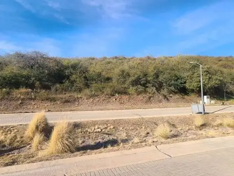 Avenida Ejército Argentino 300
