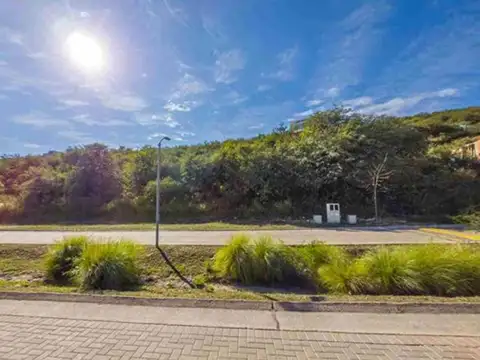 Avenida Ejército Argentino 300