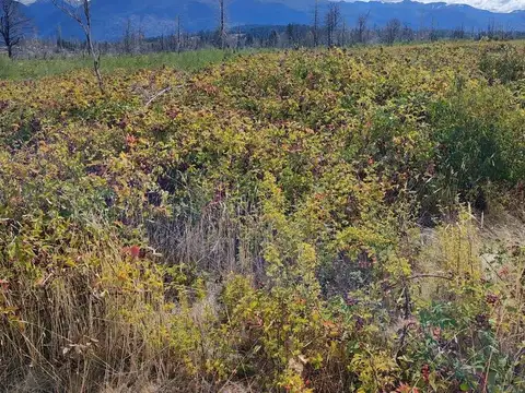 Terreno en  Las Golondrinas Chubut