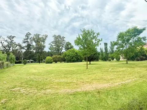 Fincas de San Vicente Golf