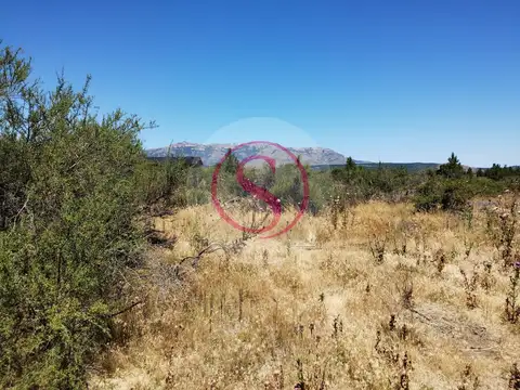 Las Marías del Valle 100