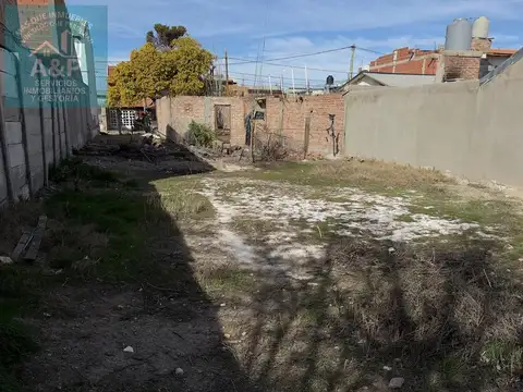 Los Nogales entre Paimún y Cacique Calvuqueo