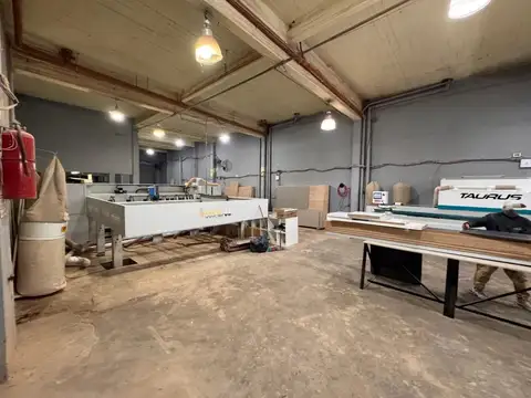 Campichuelo 4300