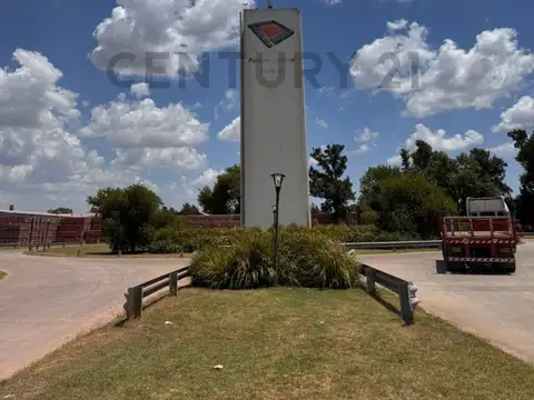 Calle 519 Bis y 232 13100