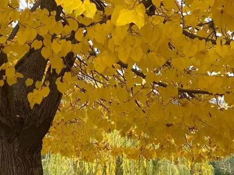 Casa en Venta en La Cumbre, USD 330.000