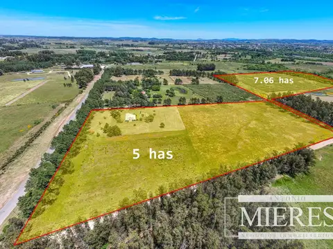 Camino Vecinal Pago Las Pajas s/n