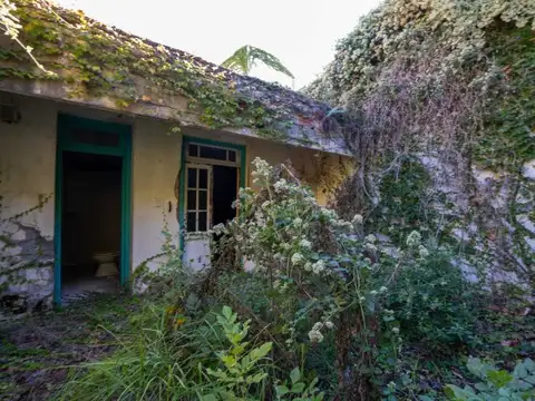 Venta. Casa Lote Propio. 3 Amb. Jardín + Local. P/reciclar. Nuñez / Saavedra
